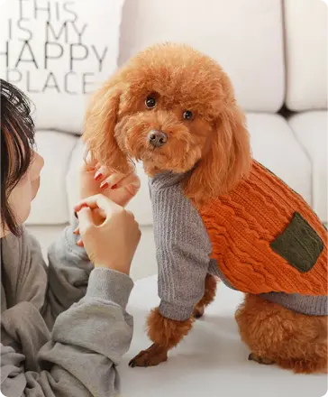 Pet's Clothing