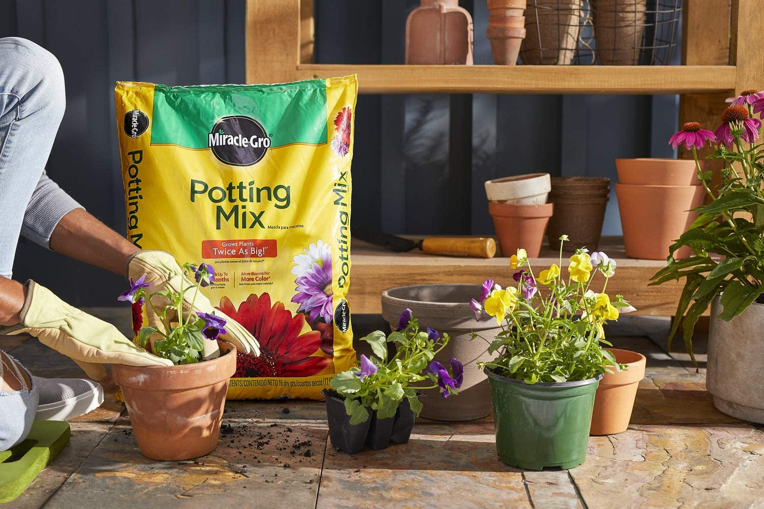 Potting Mix, 16 Qt., 2-Pack