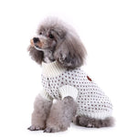 Christmas Snowflake Dog Sweater