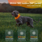 Lighted Dog Collar - Waterproof Puppy Collar Light Rechargeable, High Visibility Glowing Dog Lights for Night Walking (Orange)