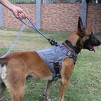 Tactical Dog Harness for Medium Dogs,Full Metal Buckles Dog Vest | with MOLLE, Reflective,Adjustable,2 Leash Clips,Control Handle,No Pull,Soft Padded,Grey,Medium