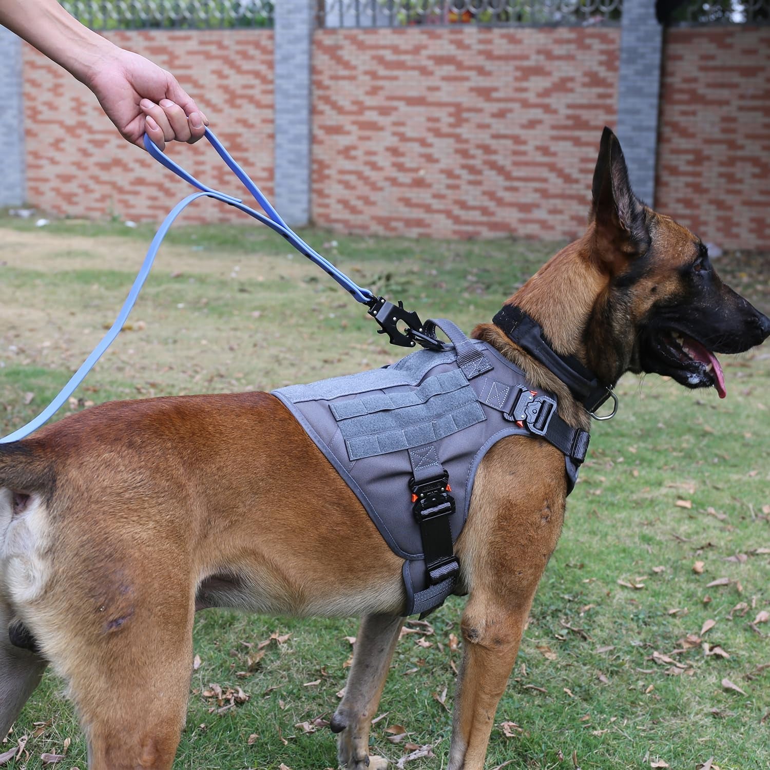 Tactical Dog Harness for Medium Dogs,Full Metal Buckles Dog Vest | with MOLLE, Reflective,Adjustable,2 Leash Clips,Control Handle,No Pull,Soft Padded,Grey,Medium