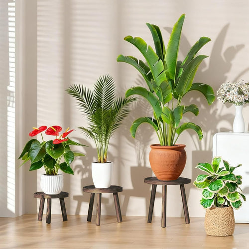 3 Pack Plant Stand Indoor Outdoor Mid-Century Modern Plant Stool Wooden Plant Pot Holder Home Decor for Gardening Living Room,Balcony,Office (Heavy Burnt Color, 3 Pack)