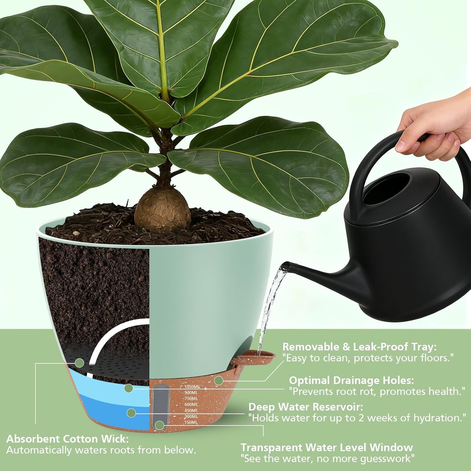 Self Watering Pots with Water Level Indicator, 12" 10" 9" 8" Large Plastic Flower Pots with Mesh Drainage Hole and Removable Saucer Reservoir for Indoor Outdoor Plants (Green)