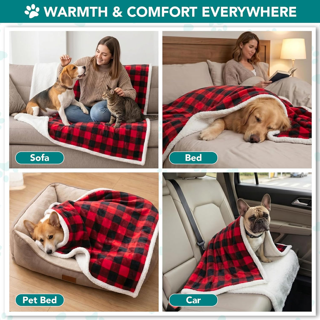 Dog Blanket for Small Medium Dogs and Cats, Soft Sherpa Fleece Pet Blanket Throw for Puppies Kittens, Reversible Plush Couch Cover Protector Sofa Bed Crate, Machine Washable, 60X40, Checker Red
