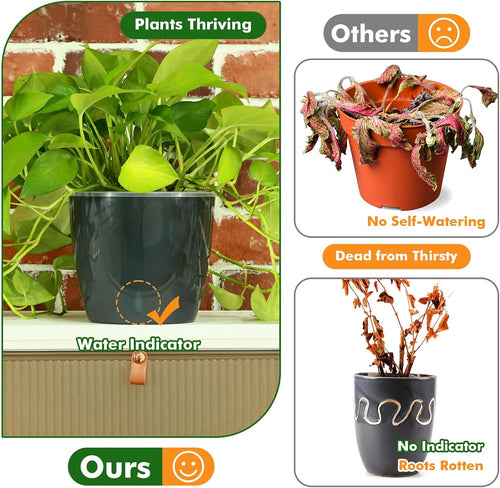 5 Inch Self Watering Pots for Indoor Plants, 6 Packs African Violet Pots with Indicator, Black Wick Pot with Drainage Holes, Self Watering Planters for Orchid, Devil'S Ivy, Grey