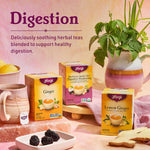 Tea Ginger Tea - 16 Tea Bags per Pack (4 Packs) - Organic Ginger Tea Bags - Digestive Support Tea - Includes Ginger Root, Lemongrass, Licorice Root, Peppermint Leaf & Black Pepper