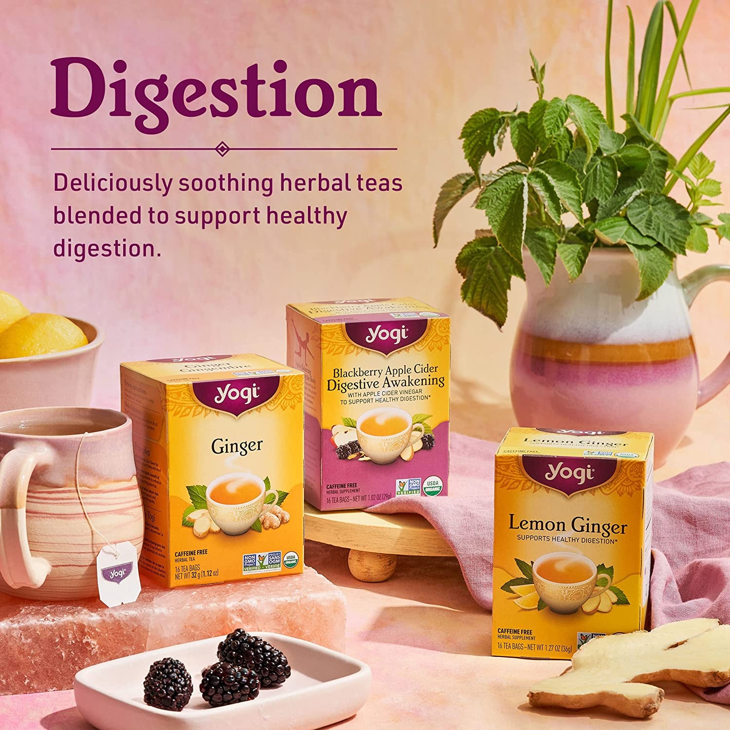 Tea Ginger Tea - 16 Tea Bags per Pack (4 Packs) - Organic Ginger Tea Bags - Digestive Support Tea - Includes Ginger Root, Lemongrass, Licorice Root, Peppermint Leaf & Black Pepper