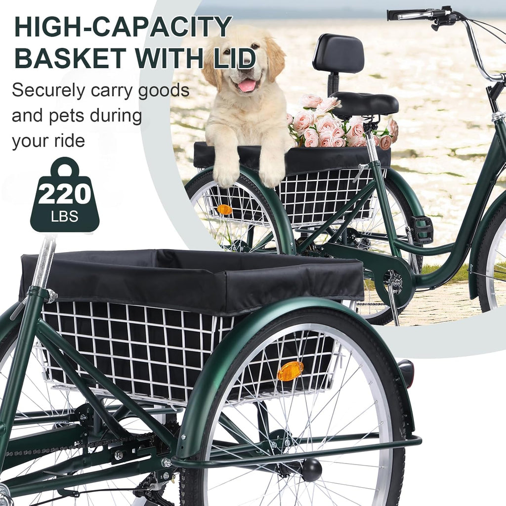 Versatile 24/26-Inch 3-Wheel Adult Tricycle with 7-Speed Gearing and Spacious Basket for Comfortable Riding and Storage for Recreation, Shopping, Picnics
