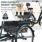 Versatile 24/26-Inch 3-Wheel Adult Tricycle with 7-Speed Gearing and Spacious Basket for Comfortable Riding and Storage for Recreation, Shopping, Picnics
