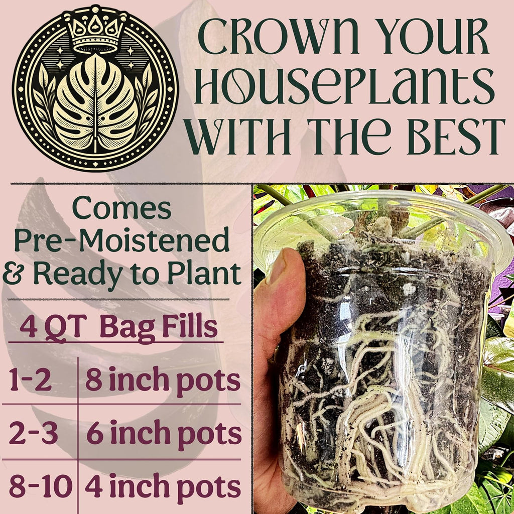 Craft Houseplant Potting Mix, Elite House Plant Soil, Chunky, Well Draining Potting Soil for Indoor Plants, Tropical Plants & Potted Plants, Sustainable & Peat Free, Less Prone to Gnats 4Qt