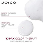 Joico K-PAK Color Therapy Color-Protecting Shampoo & Conditioner Set | for Color-Treated Hair | Boost Shine | Improve Elasticity | Repair Breakage | Rebuild Damaged Hair | with Keratin & Argan Oil
