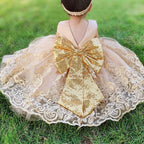 0-6 Years Baby Girls Pageant Lace Embroidery Dresses Toddler Formal Dress with Headwear