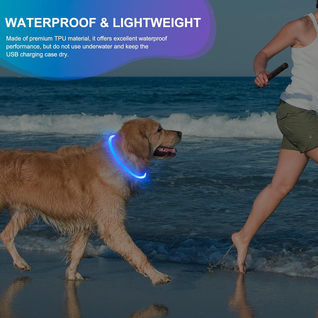 Light up Dog Collar - Waterproof LED Dog Collar Rechargeble, TPU Cuttable Glow in the Dark Safety Dog Lights for Night Walking(Blue)