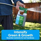 Superior 15-0-15 Liquid Lawn Fertilizer - Lawn Food for Growth & Green - Nitrogen, Potassium, Humic, Fish & Seaweed - Any Grass Type-  - All Season- Attached Sprayer (32 Ounce)