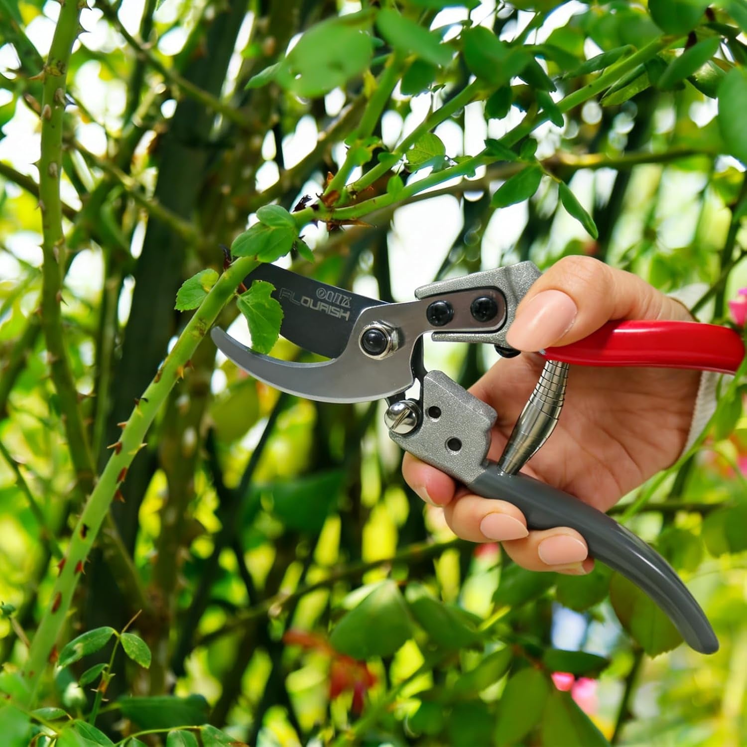 Pruning Shears for Gardening, 8.5" SK5 Steel Pruners | Bypass Garden Shears, Sharp Heavy Duty Hand Pruners, Handheld Clippers Tools for Garden Care