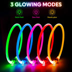 Lighted Dog Collar - Waterproof Puppy Collar Light Rechargeable, High Visibility Glowing Dog Lights for Night Walking (Orange)