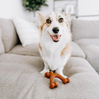 Power Chew Easy-Hold Wishbone Dog Chew Toy, Small | Bison Flavor, Durable Dog Toys for Aggressive Chewers, Discourages Destructive Chewing, for Small Breeds up to 25 Lbs