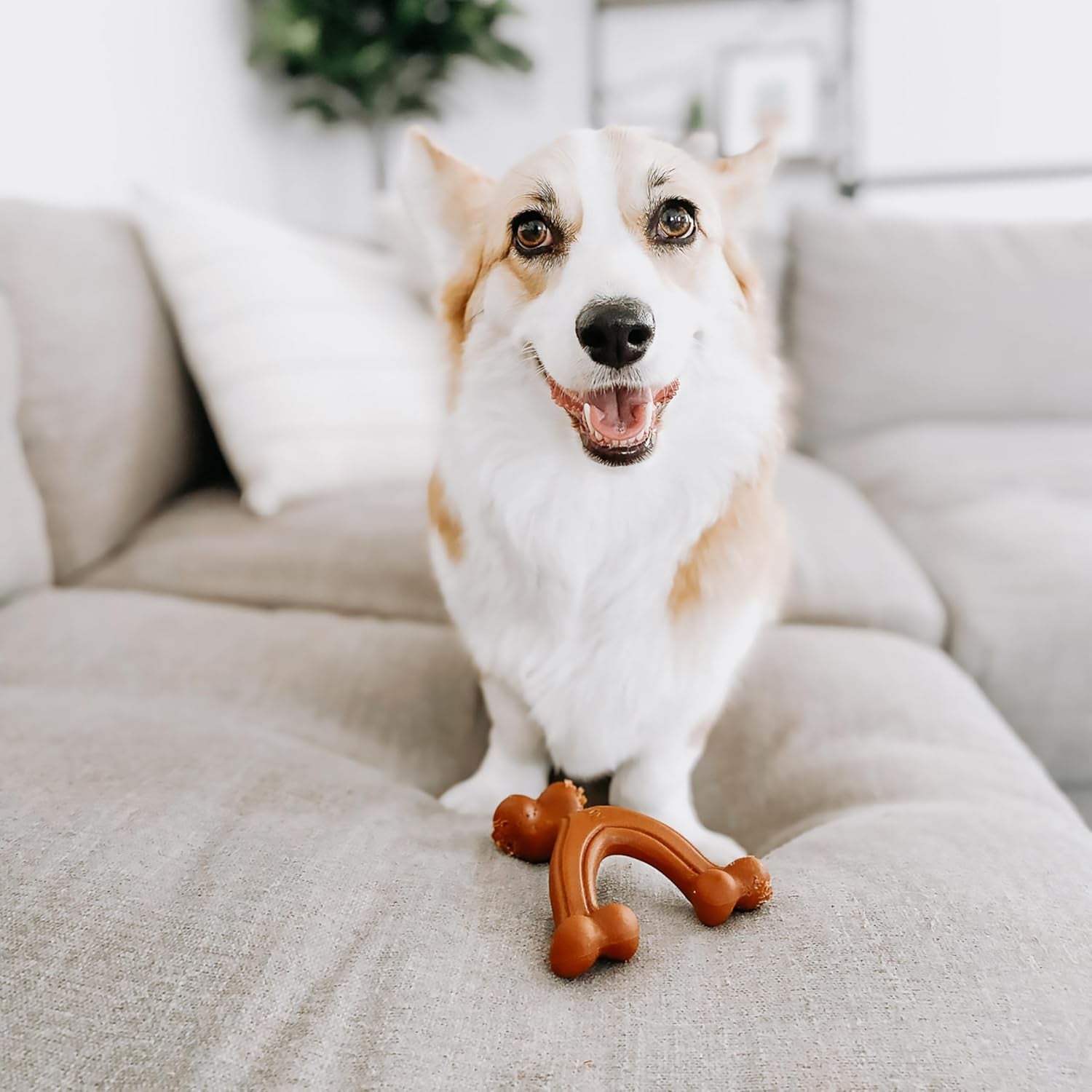 Power Chew Easy-Hold Wishbone Dog Chew Toy, Small | Bison Flavor, Durable Dog Toys for Aggressive Chewers, Discourages Destructive Chewing, for Small Breeds up to 25 Lbs