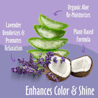 Lavender Dog Shampoo, Deodorizing Dog Wash, 16 Oz (1 Pack) | Coat Brightening Shampoo for Dogs, Made in USA, Cruelty Free Pet Shampoos