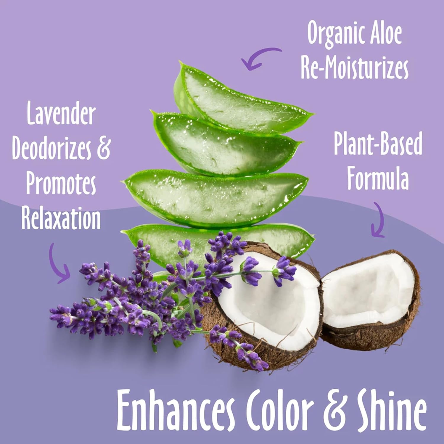 Lavender Dog Shampoo, Deodorizing Dog Wash, 16 Oz (1 Pack) | Coat Brightening Shampoo for Dogs, Made in USA, Cruelty Free Pet Shampoos