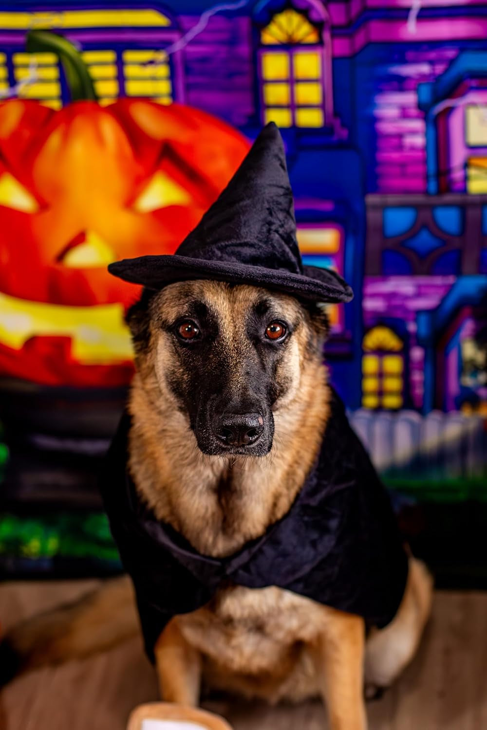 Halloween Witch Cape and Hat Dog Costume - Large