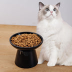 Ceramic Elevated Cat Bowls - 6.2 Inch Extra Wide Raised Cat Food and Water Bowl Set for Indoor Cats, Whisker-Friendly Ceramic Cat Dish for Elder Big Cats & Small Dogs,Black,2 Pack