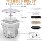 Cat Water Fountain, 2.4L/2.5QT Capacity, White | Ultra Silent Pet Drinking Fountain for Cats and Small Dogs, Indoor Water Fountain, with Replacement Filters