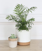 Indoor Plant Pots Planters 8 Inch Plastic Planter with Hole & Saucer Flower Pots Modern Decorative for Outdoor Garden Home (White X 3 Pack)