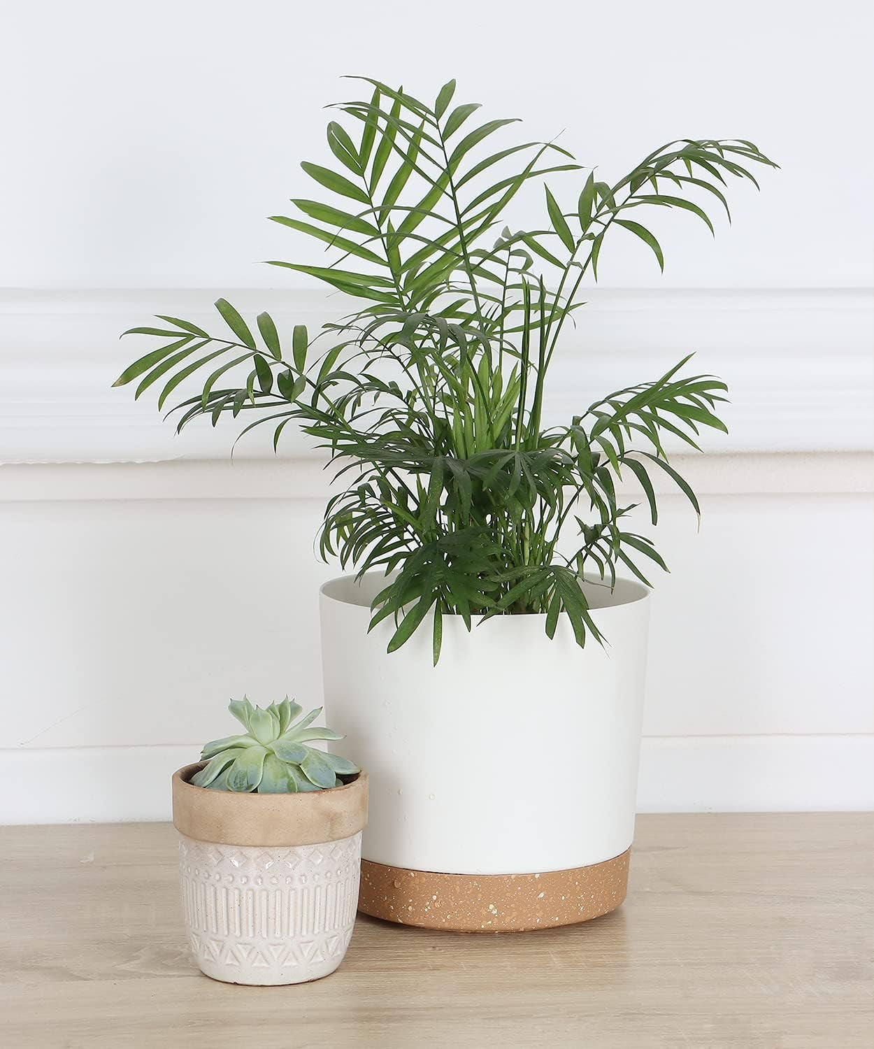 Indoor Plant Pots Planters 8 Inch Plastic Planter with Hole & Saucer Flower Pots Modern Decorative for Outdoor Garden Home (White X 3 Pack)