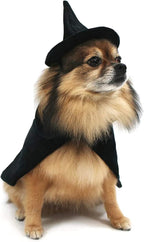 Halloween Witch Cape and Hat Dog Costume - Large