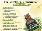 Batana Oil for Hair, Scalp & Skin, Natural Elaeis Oleifera Kernel Oil, Moisturizing Hair Oil for Dry Hair, Lightweight Conditioning Oil, Enhances Softness & Shine, 2.03 Fl Oz (60 Ml)