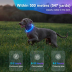 Light up Dog Collar - Waterproof LED Dog Collar Rechargeble, TPU Cuttable Glow in the Dark Safety Dog Lights for Night Walking(Blue)
