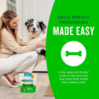 Dog Dental Bone Treats, Tiny/Small Dental Dog Treats, 16 Ounces, Cleans Teeth, Fight Bad Breath, Removes Plaque and Tartar, 40 Count