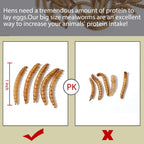 Non-Gmo Dried Mealworms,2Lb 100% Natural Large Size No Moisture,Treats for Birds Chickens Hedgehog Hamster Fish Reptile Turtles