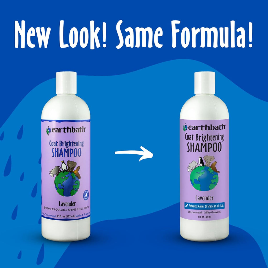 Lavender Dog Shampoo, Deodorizing Dog Wash, 16 Oz (1 Pack) | Coat Brightening Shampoo for Dogs, Made in USA, Cruelty Free Pet Shampoos