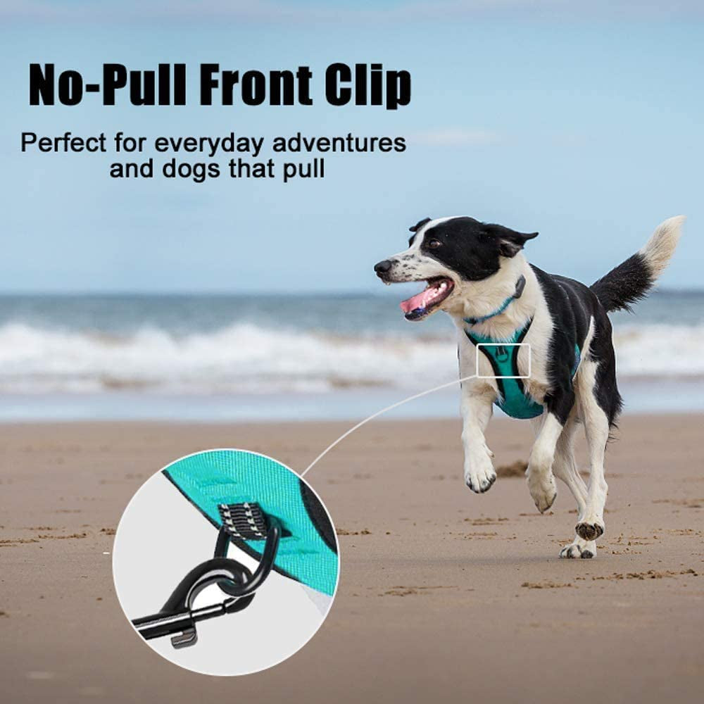 No Pull Dog Harness Medium, Reflective Vest with Front Clip & Handle | Easy On/Off, No Choke, Adjustable, 2 Leash D-Rings, Soft Padded, Breathable, Oxford, for Walking Training, M, Mint Blue
