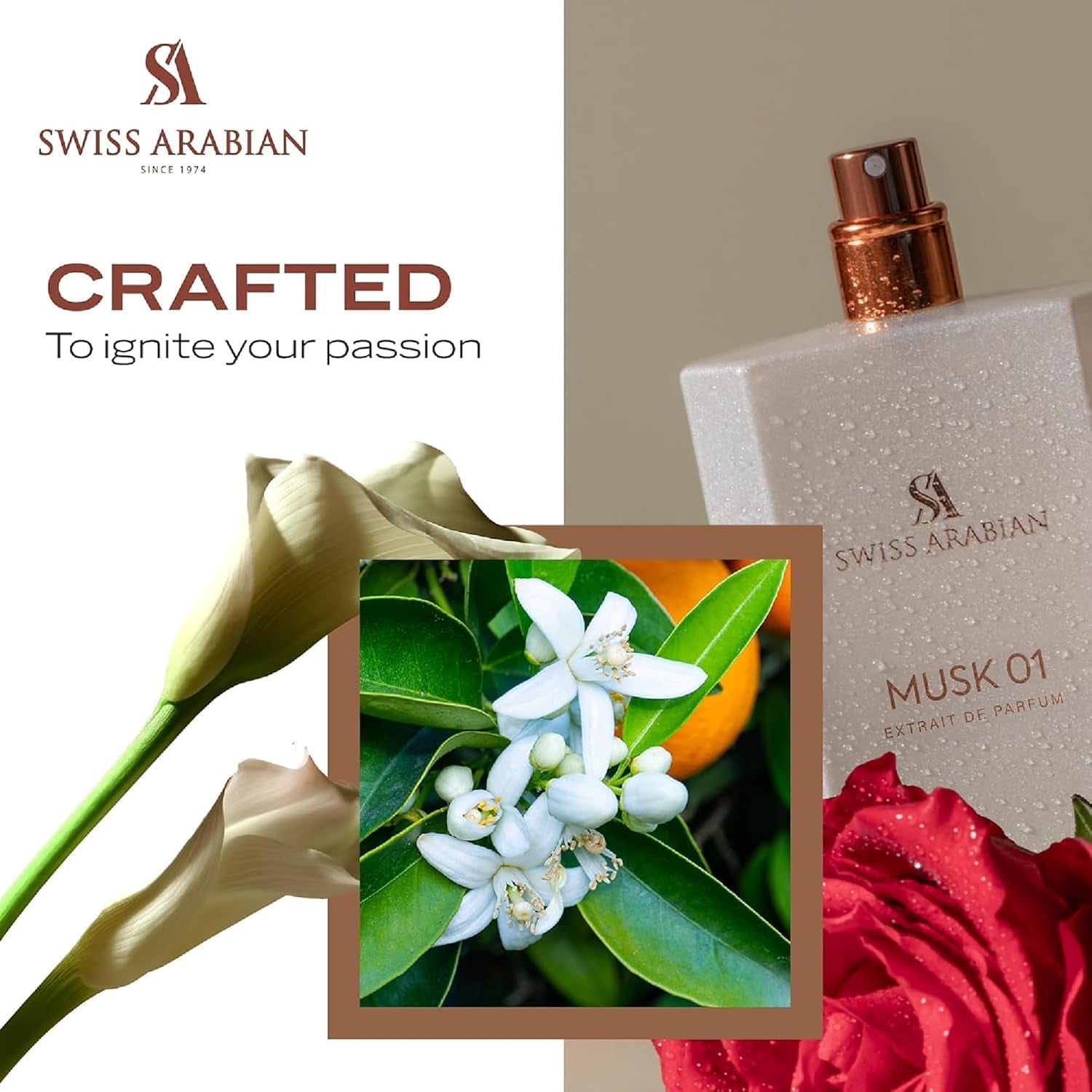 Musk 01 - Arabian Perfumes for Women and Men - Long Lasting Perfume - Spicy, Floral, Musk Perfume - Seductive Signature Aroma - 1.7 Oz