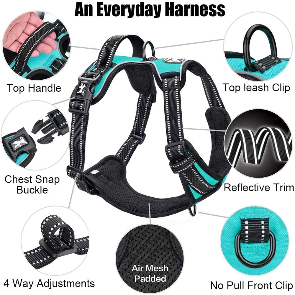 No Pull Dog Harness Medium, Reflective Vest with Front Clip & Handle | Easy On/Off, No Choke, Adjustable, 2 Leash D-Rings, Soft Padded, Breathable, Oxford, for Walking Training, M, Mint Blue