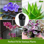 5 Inch Self Watering Pots for Indoor Plants, 6 Packs African Violet Pots with Indicator, Black Wick Pot with Drainage Holes, Self Watering Planters for Orchid, Devil'S Ivy, Grey