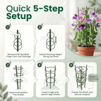 4 Pack round Tomato Cages for Garden,18 Inches Small Metal Tomato Cages with Adjustable Rings,Tomato Trellis and Plant Support for Raised Garden Beds, Pots and Climbing Vegetables