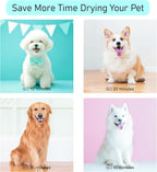 Dog Dryer for Pet Grooming, Pet Hair Dryer with Heater, Pink