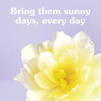 Liquid Fabric Softener, Morning Sun, 120 Oz
