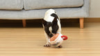 Friends TV Show Central Perk Coffee Cup Plush Dog Toy | Built-In Squeaker, Officially Licensed Friends Product, Iconic Coffee Cup Design, Hours of Fun for Fans