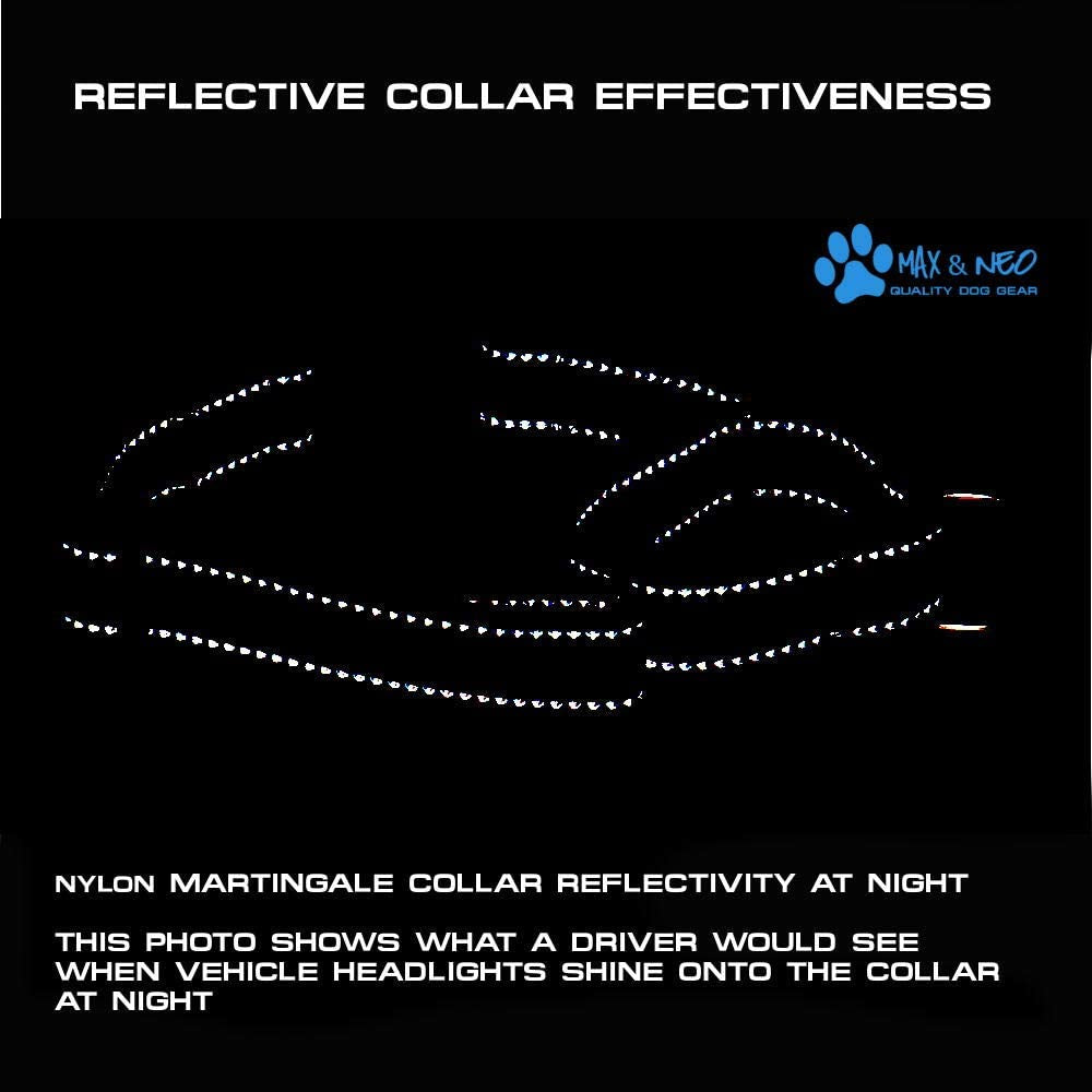 Nylon Martingale Collar - We Donate to a Dog Rescue for Every Collar Sold (X-Small, Teal)