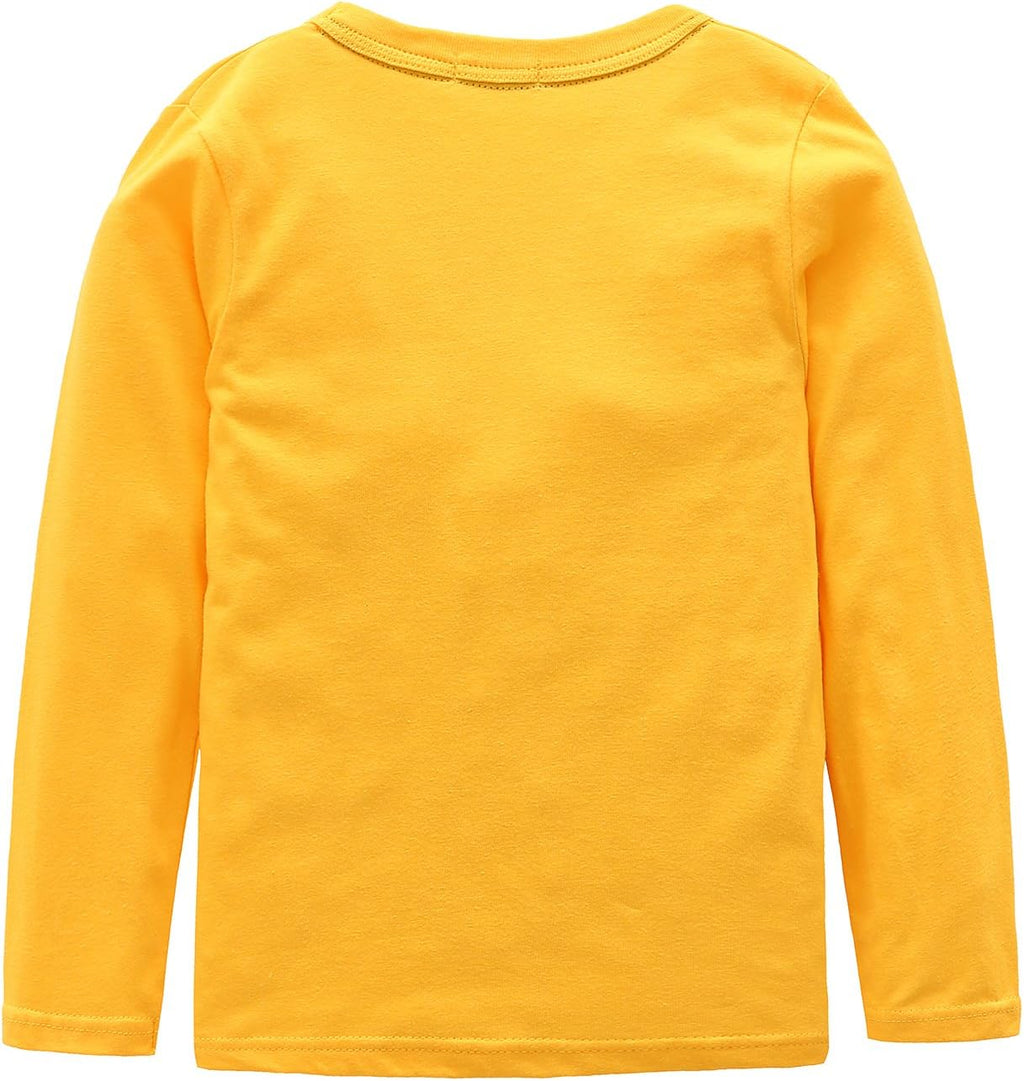 Boys Cotton Long Sleeve T-Shirts T Rex Dinosaur Shirt Graphic Tees