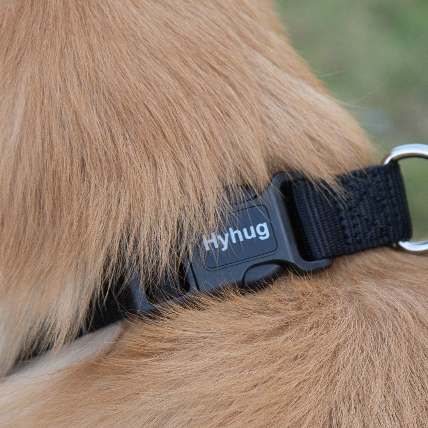 Black Puppy Collar, Quick-Release Buckle, Adjustable for Small Dogs | Durable Nylon, Adjustable Fit for Growing Pups. Great for Home Wear – Keeps Your Pup Looking Sharp & Comfortable