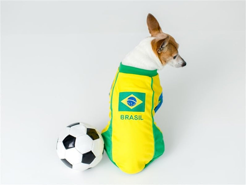 Team Brazil Dog Jersey - Breathable Mesh Puppy Football Jersey - Lightweight Stretch Sporty Dog Clothes - Summer Shirts for Large Dogs - Soccer Jersey for Dogs - Sportswear Pet Clothes
