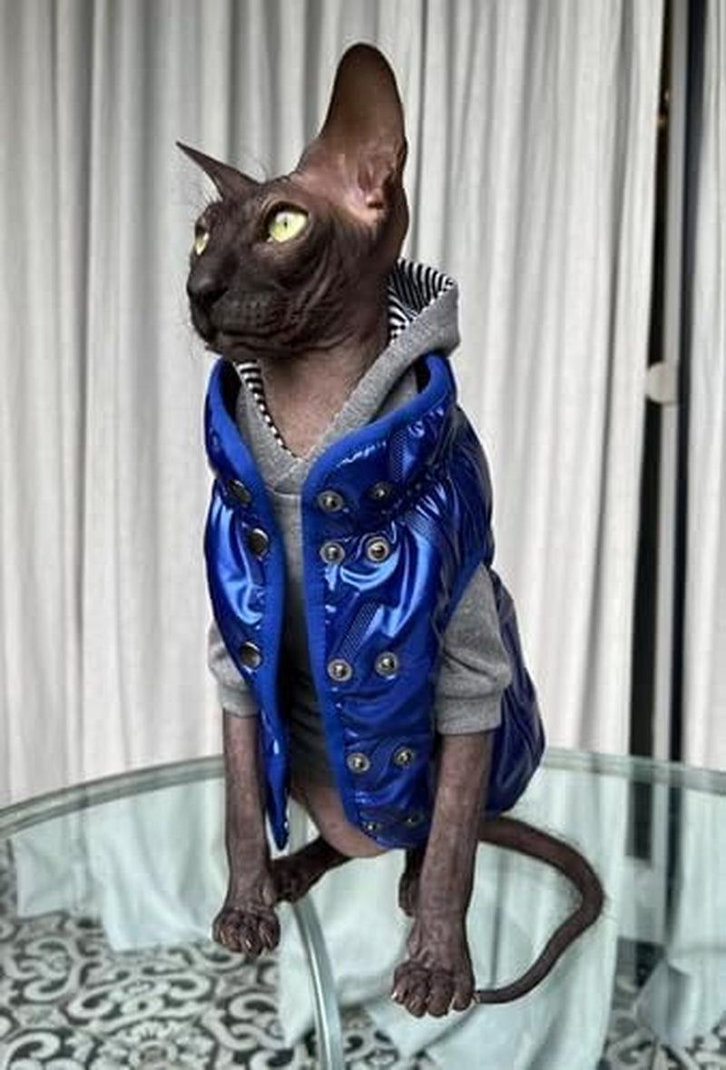 Padded Coat for Cats - Elevate Feline Fashion and Comfort! (Large, Navy Blue)