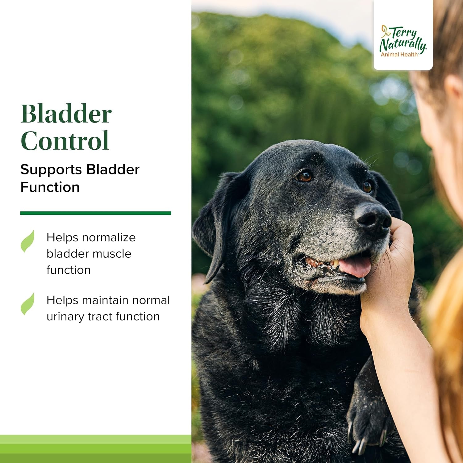 Bladder Control - Pet Supplies for Bladder Health - Support Urinary Tract Health - Dog Health Supplement - Pet Support for Dogs - 30 Capsules (30 Servings)